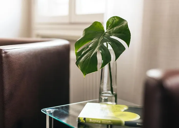 Отель Amtshaus 3*